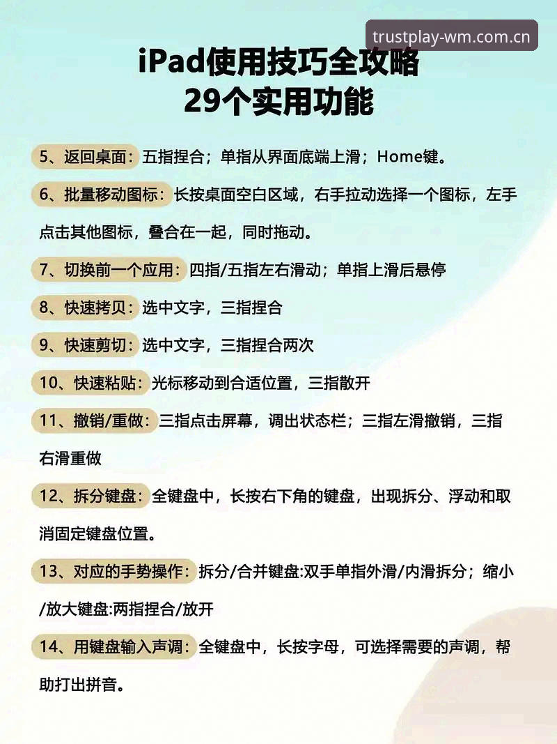 完美体育电竞平台最新版使用指南：从入门到精通的全流程解析